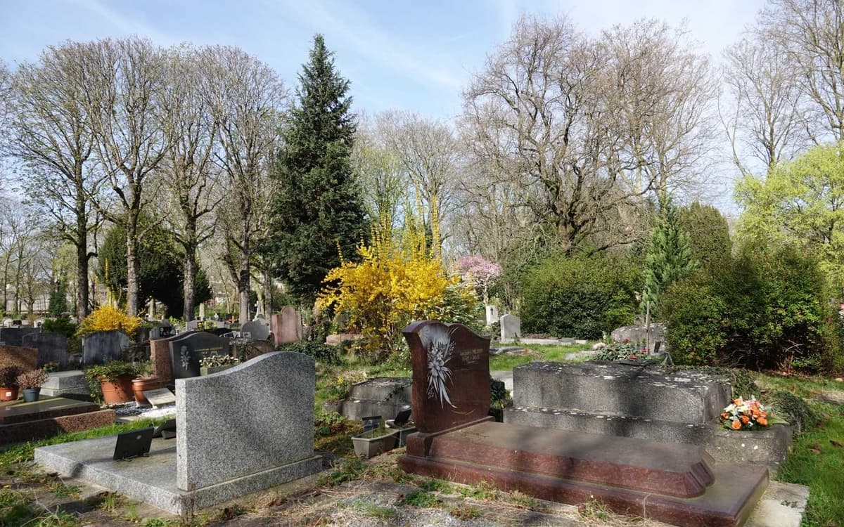 Visite Ornithologique et botanique du Cimetière parisien d’Ivry