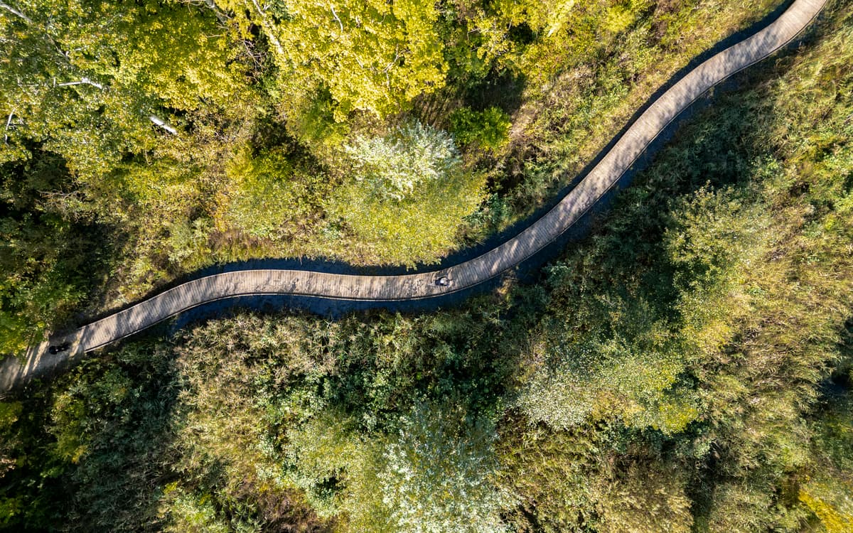 Cap sur la Marne, un coin de paradis aux portes de Paris