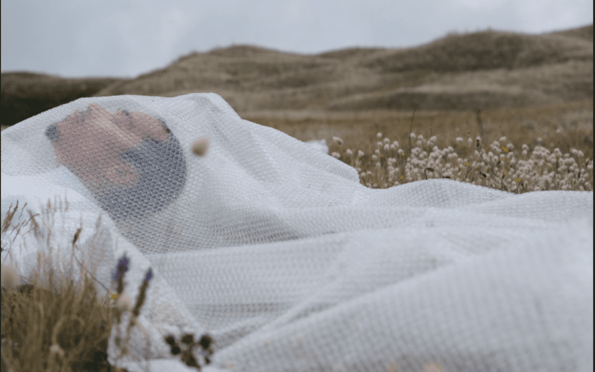 Conférence | Art et science, un front commun | Sandra Geco, Nelly Pons, Xavier Cousin & Chris Franco