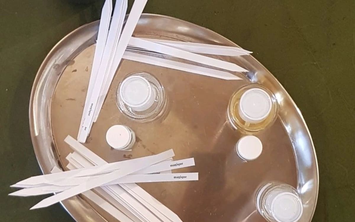 Performance Olfactive à la Maison de Balzac