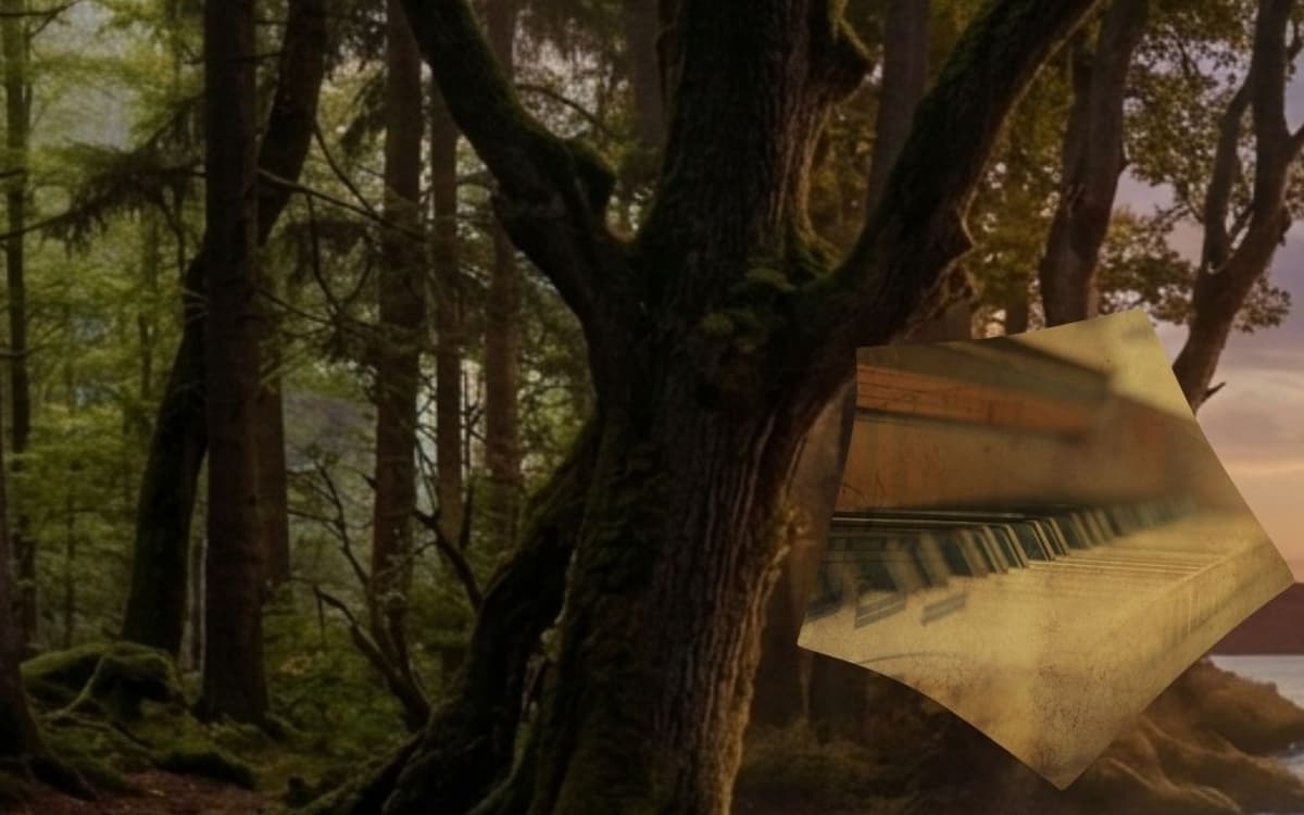 Voyage musical en compagnie de Schubert et Debussy, Lieder et mélodies