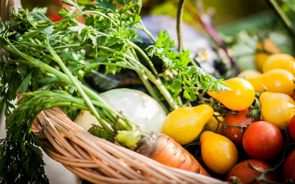 Circuits courts et résilience alimentaire