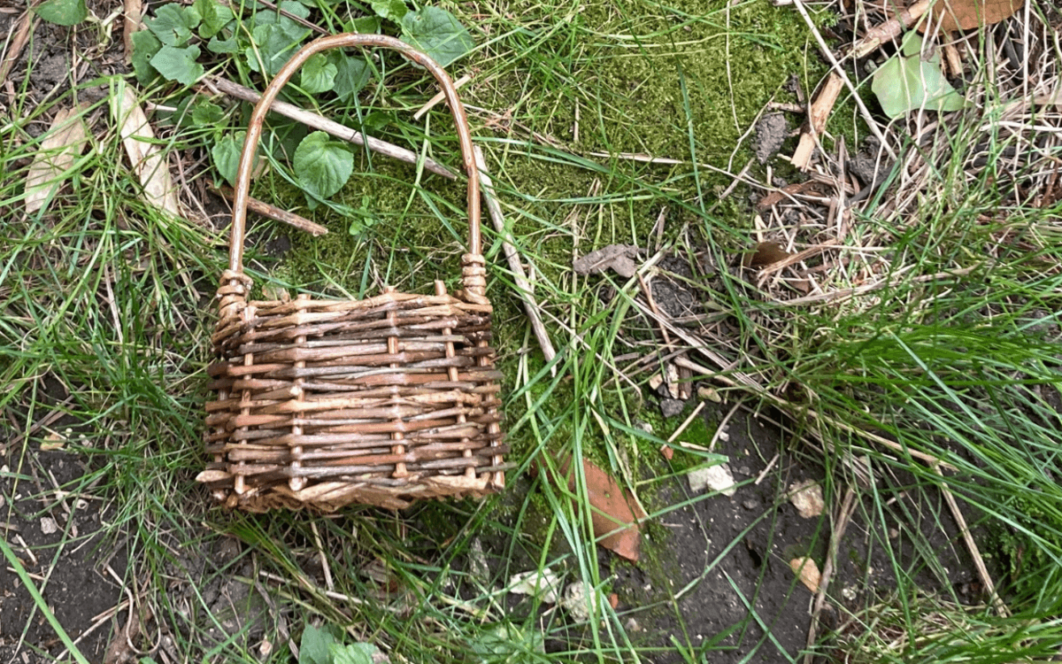 Initiation à la vannerie sauvage