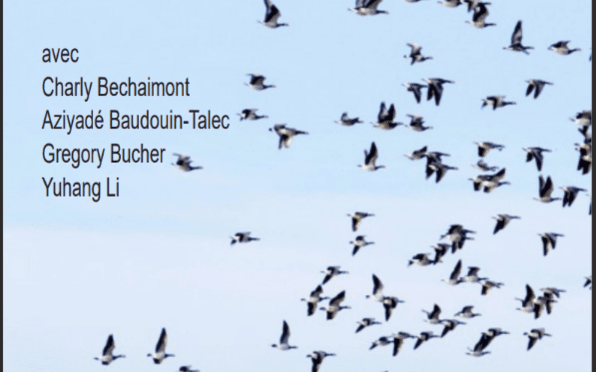 Soirée de performances : Écriture, Mouvement, Amour - Les écritures bougées