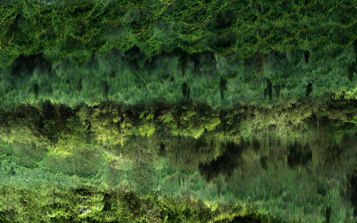YONGKWAN JOO / Vague verte