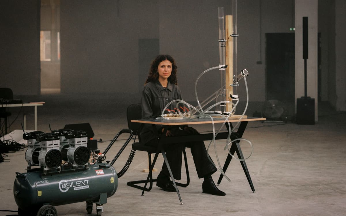 AMINA HOCINE / TORNMUSIC - for sculpture