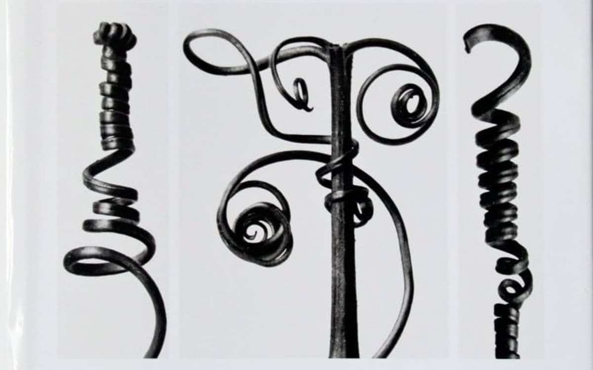 Le végétal et la Nouvelle Objectivité – Ernst Haeckel et Karl Blossfeldt