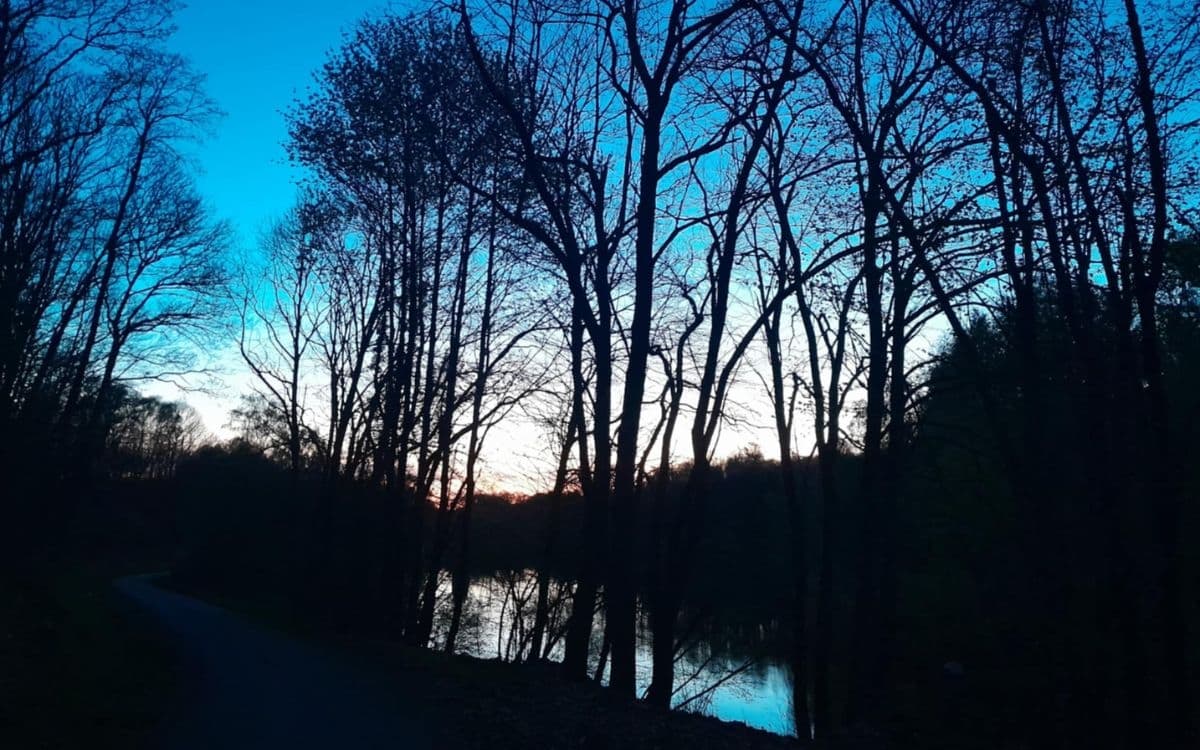 Songe d'une nuit d'été