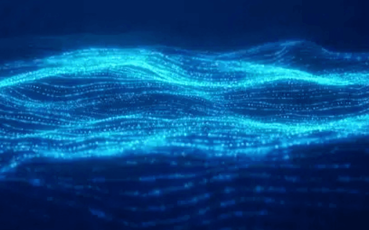 Nuit blanche 2026 : La mer, la nuit