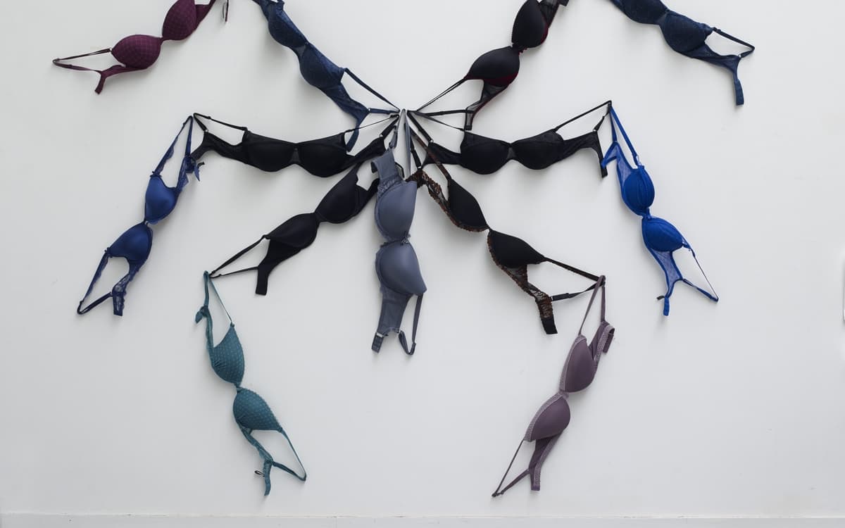 Annette Messager / Une hirondelle ne fait pas le printemps