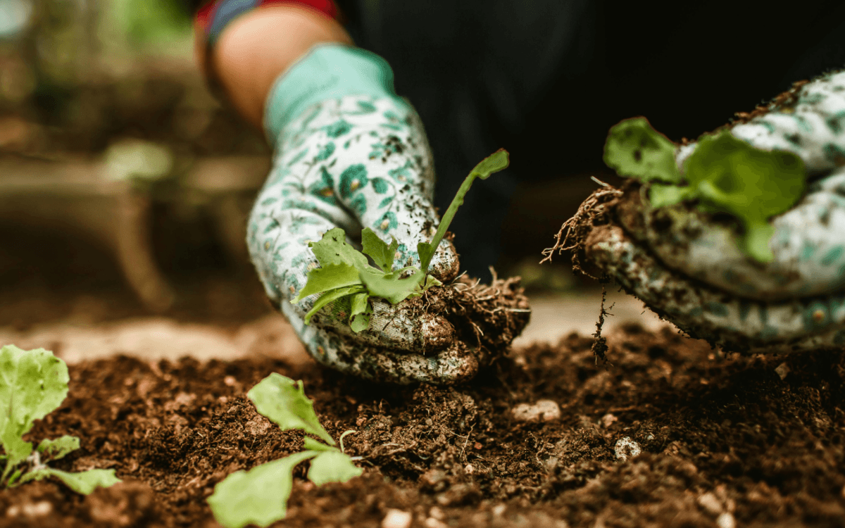 La Fête de la nature : grande après-midi festive