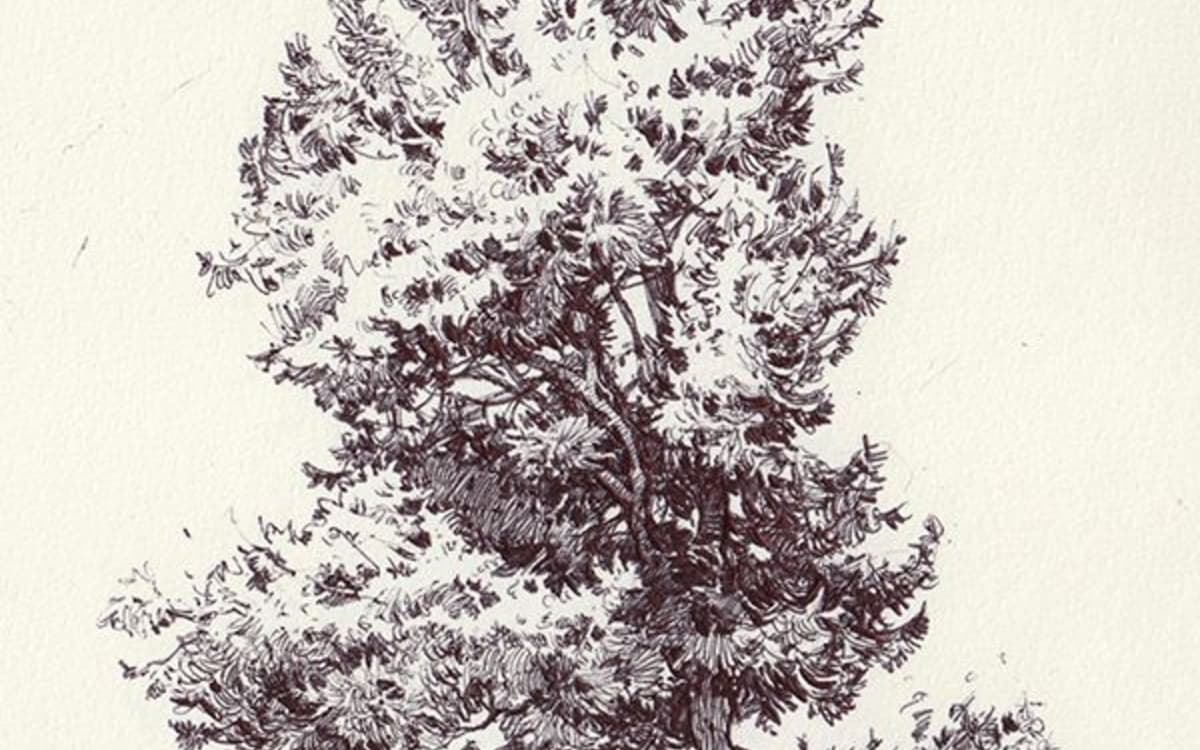 Stage de dessin du paysage