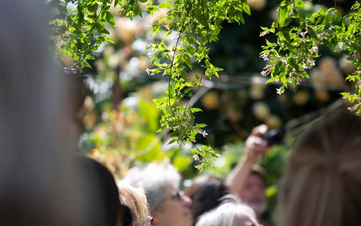 Festival de la nature : l'air dans tous ses états