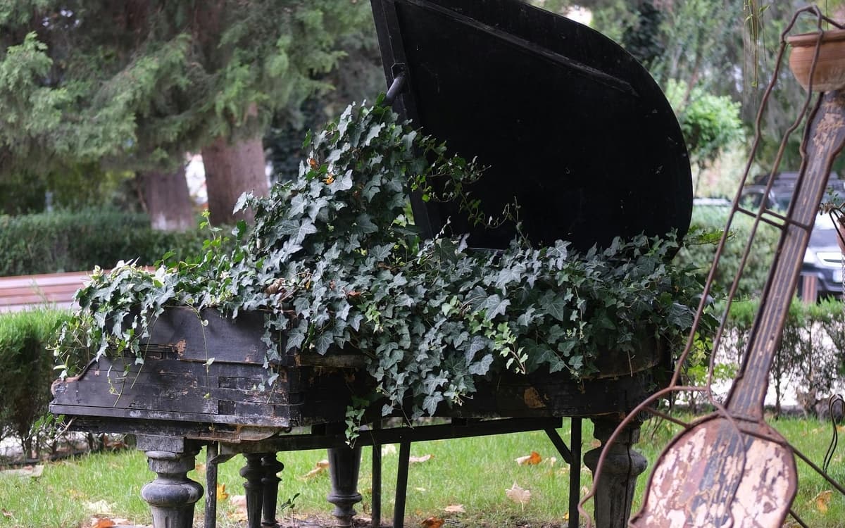 Au jardin !