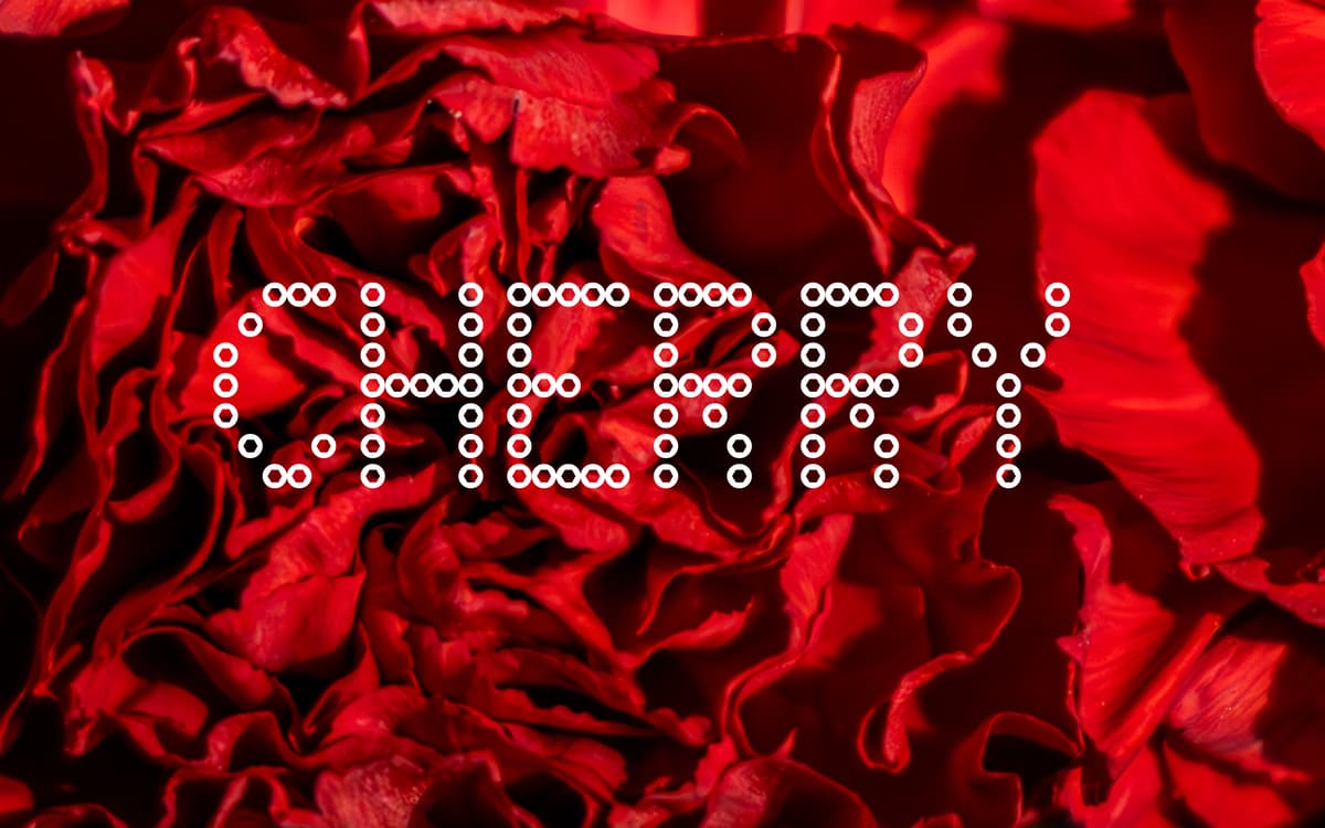 ELIAS GALINDO-LOPEZ / Cheri, cherie, cheri·e : eat a cherry and make a wish !