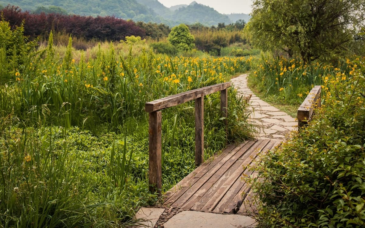 Un pont entre la nature et les Hommes