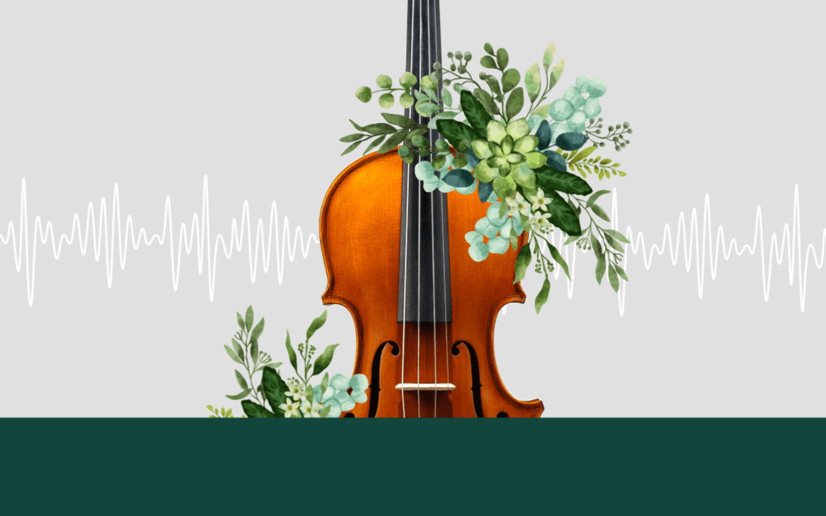 Les violons ambulants