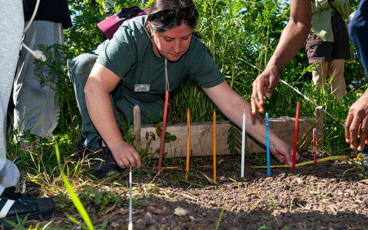 Chantier participatif à la Ferme de Paris