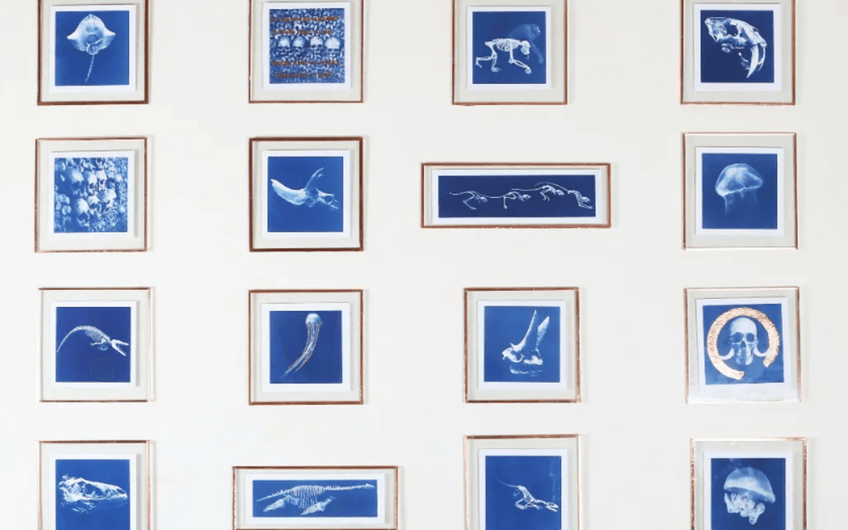 Exposition - Soraya Meunier