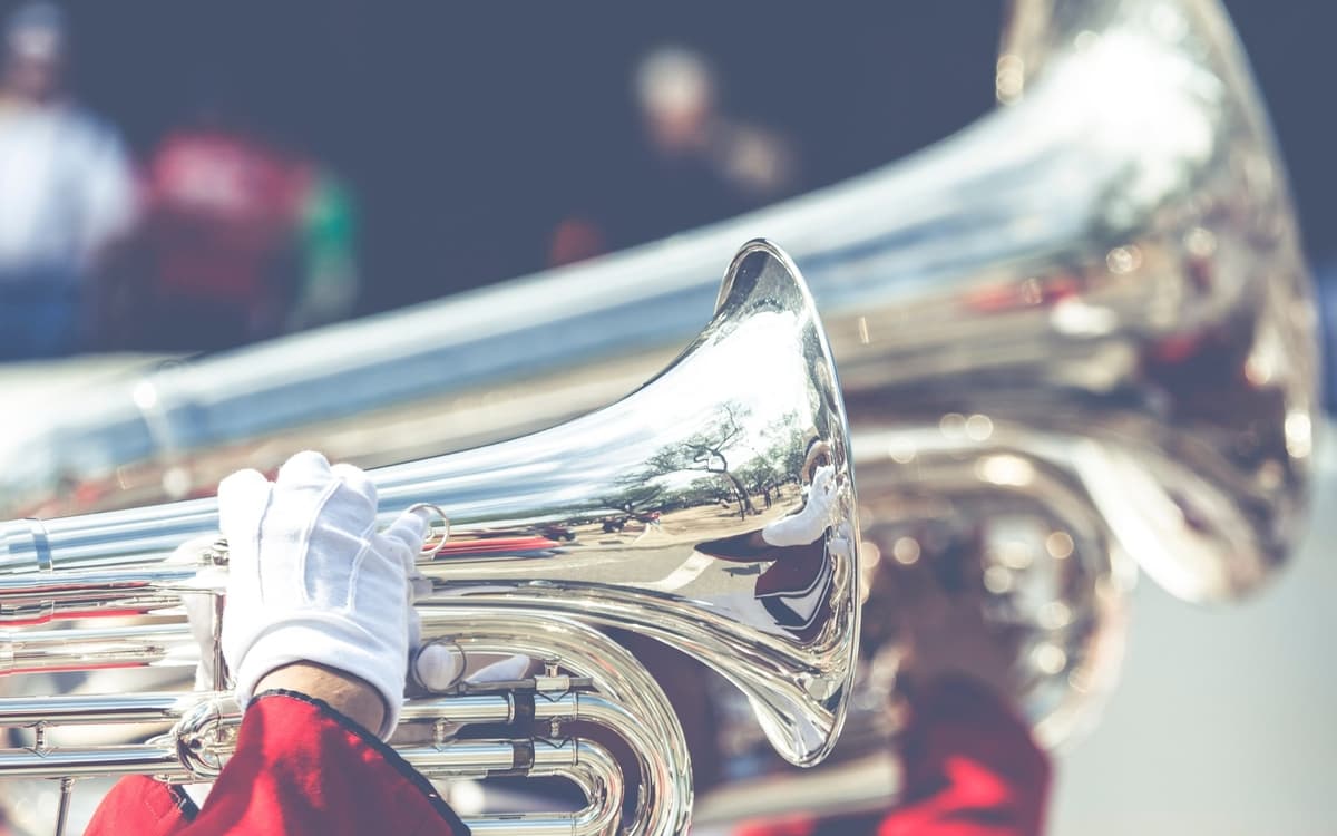 Mélomanes en culotte courte - Fanfare royale