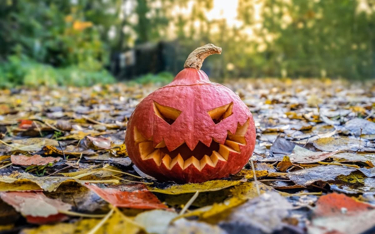 Halloween : le grand frisson