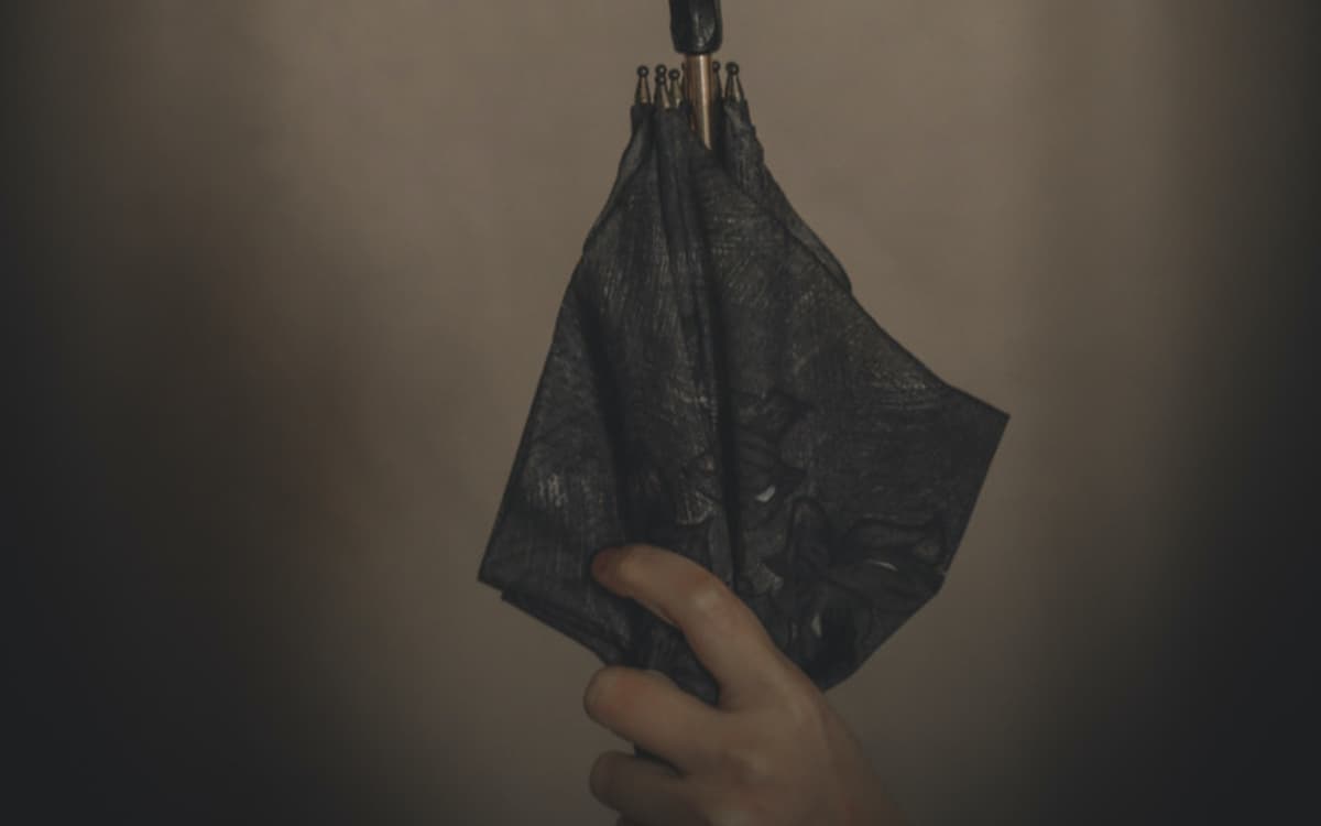 Le Parapluie de Rosa Parks : journées du matrimoine
