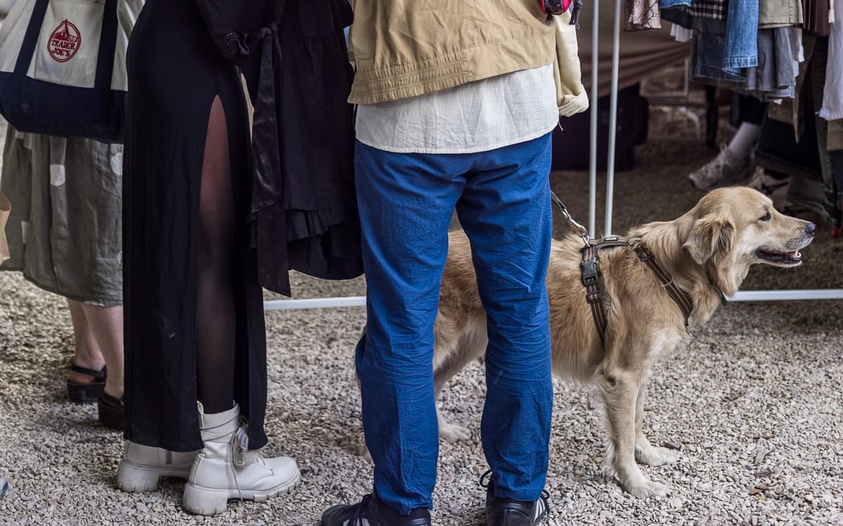 Terrain Vague : Dog Fest by Lump x Jardin21 ༯