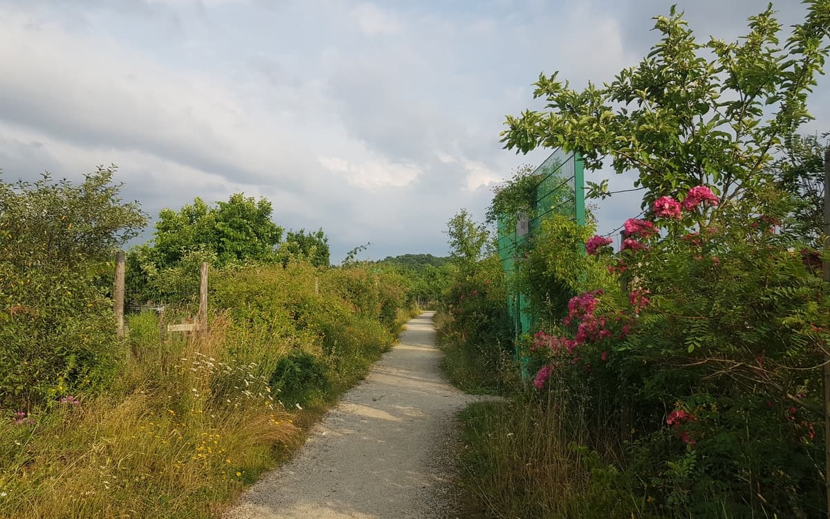 Visite guidée des jardins familiaux Les Arpents