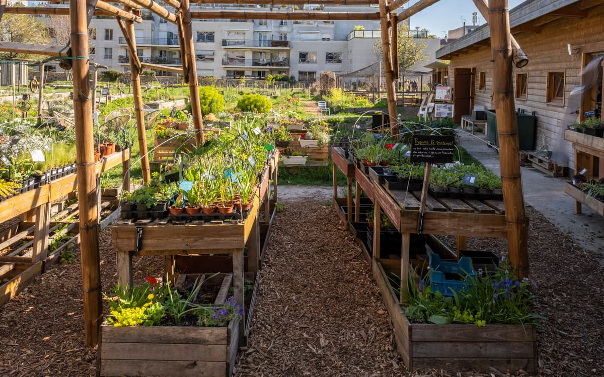 Réalisez votre tisane dans une ferme urbaine
