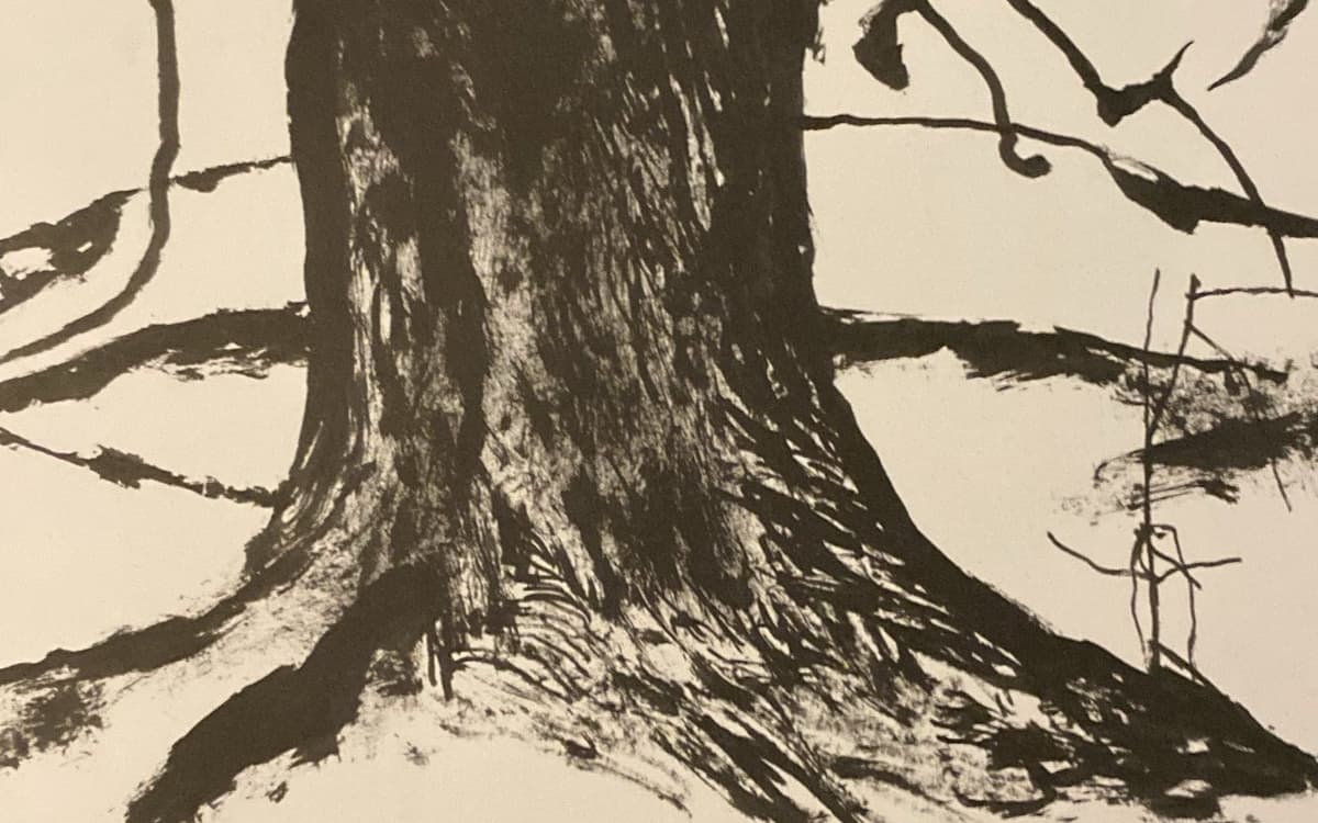 Le Théorème de l’olivier