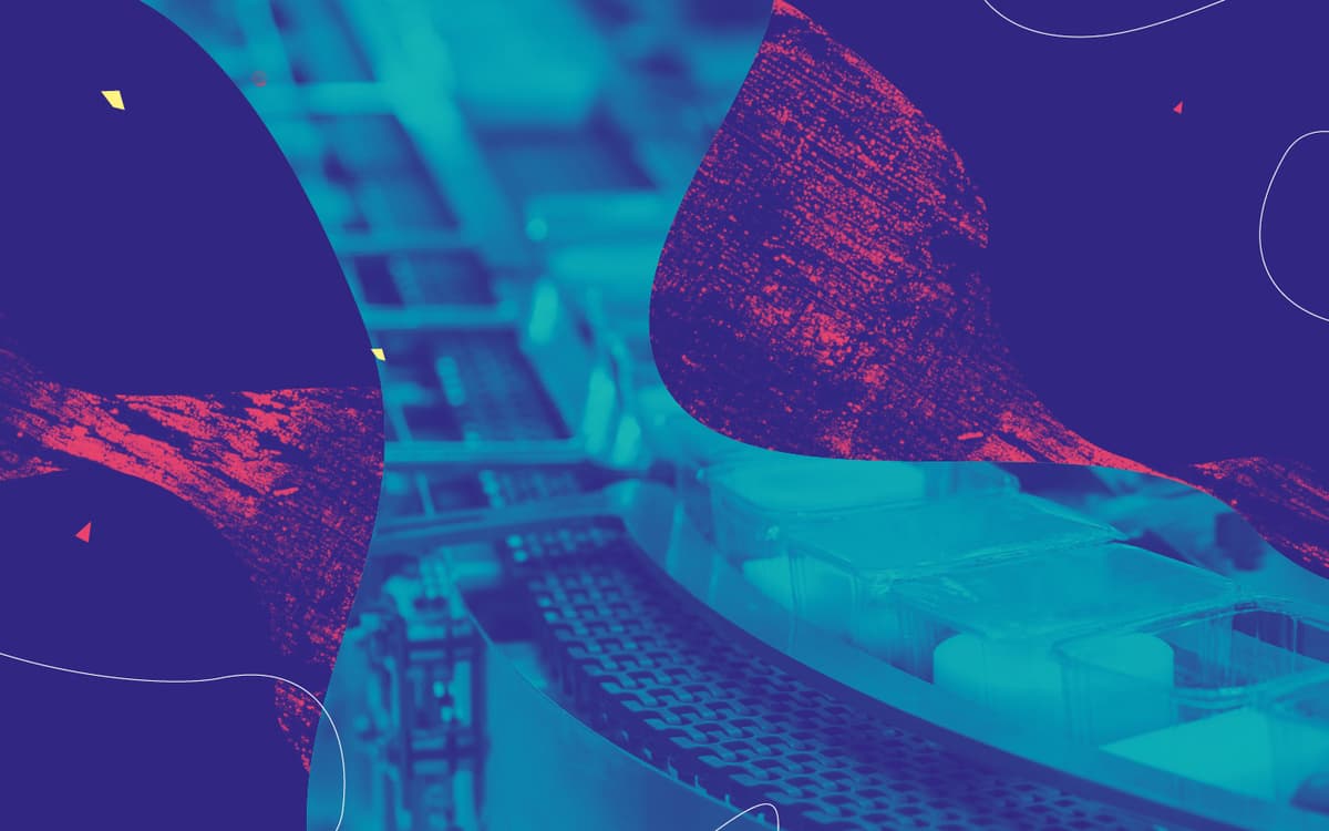 Les plastiques font-ils la loi ?