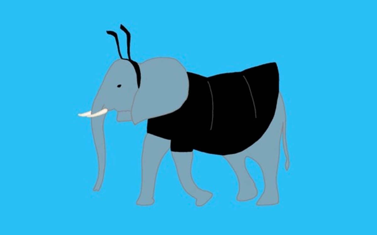 Spectacle « Le carnaval des animaux » Festival Rêves d’enfants