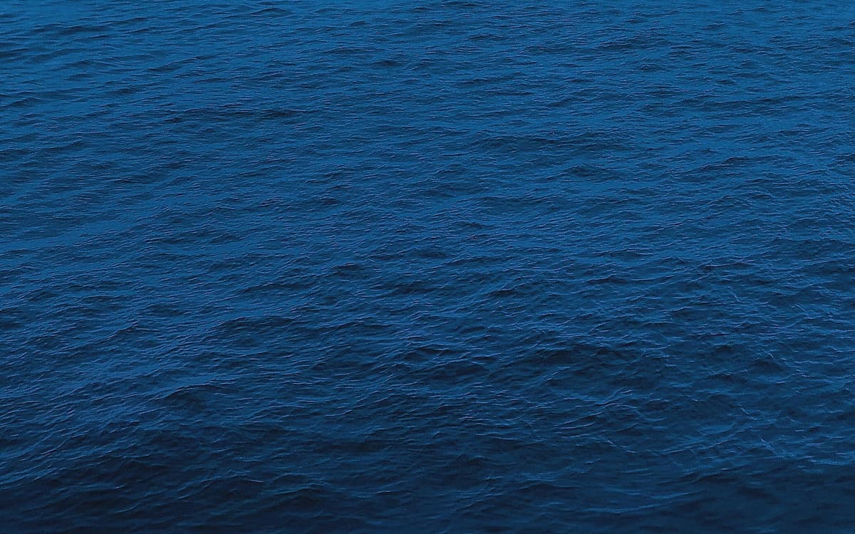 Fêter la Méditerranée