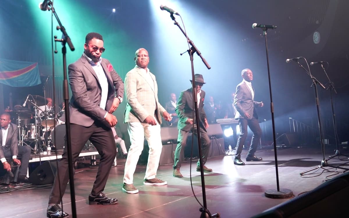 Zaïko Langa Langa Au Zénith pour un concert légendaire