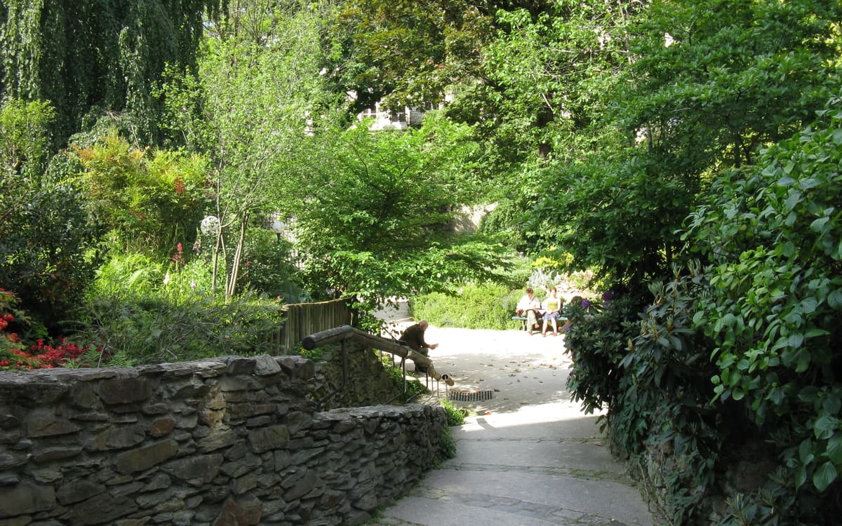 Balade végétale dans le quartier du Bon Marché