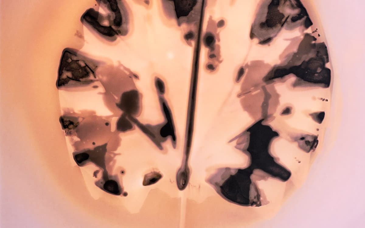 Stage vacances enfants 6-11 ans — Expérimentation végétale avec Alexandra Serrano