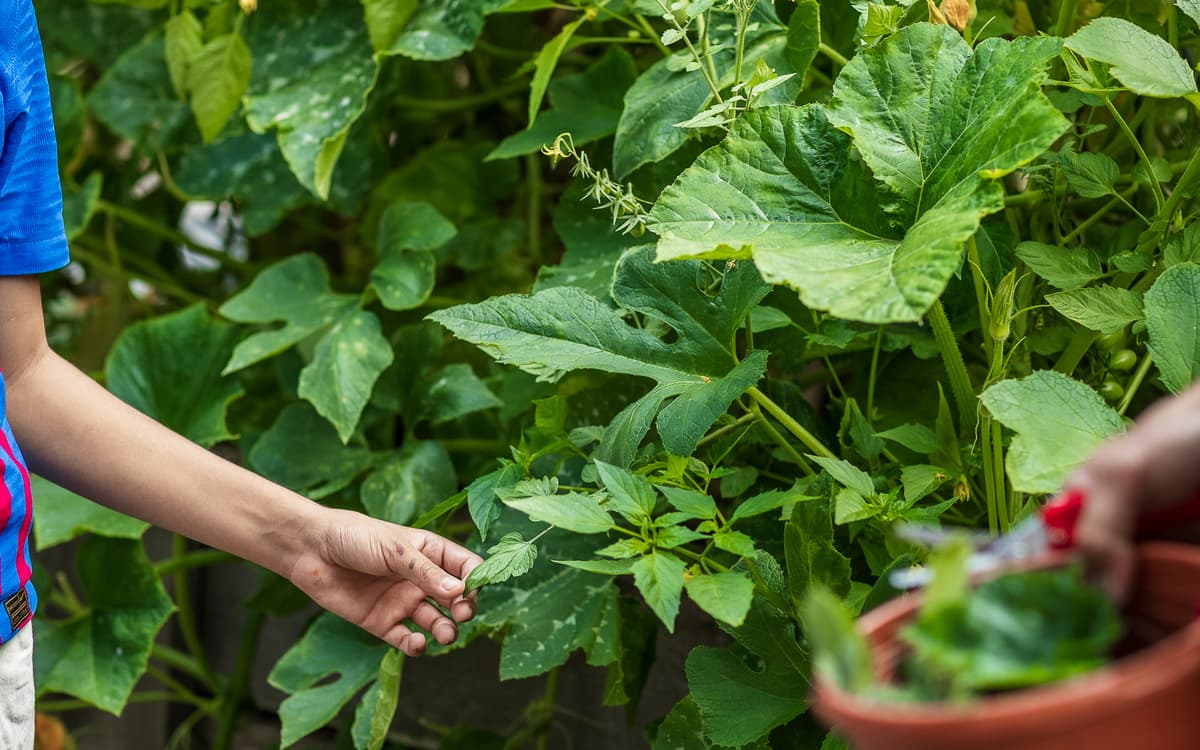 Photowalk : Nation Photo x Jardin21