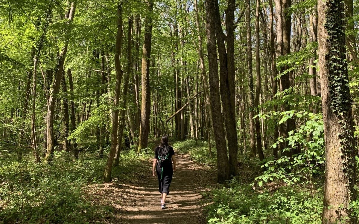 Balade-ecriture - De Lardy à Chamarande