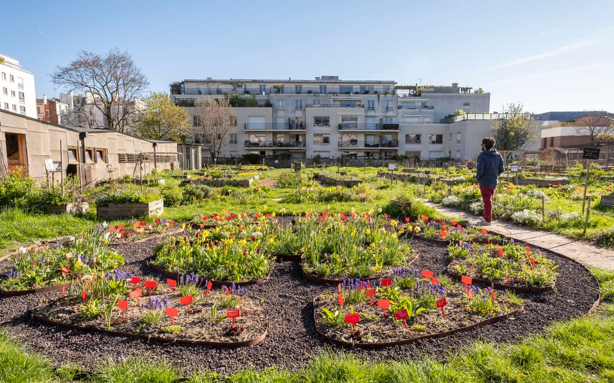 Les activités du Paysan Urbain Paris : le Programme de Juillet 2026
