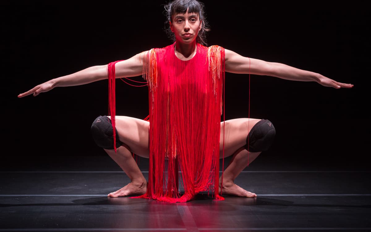 Disparue — Marcela Santander Corvalán