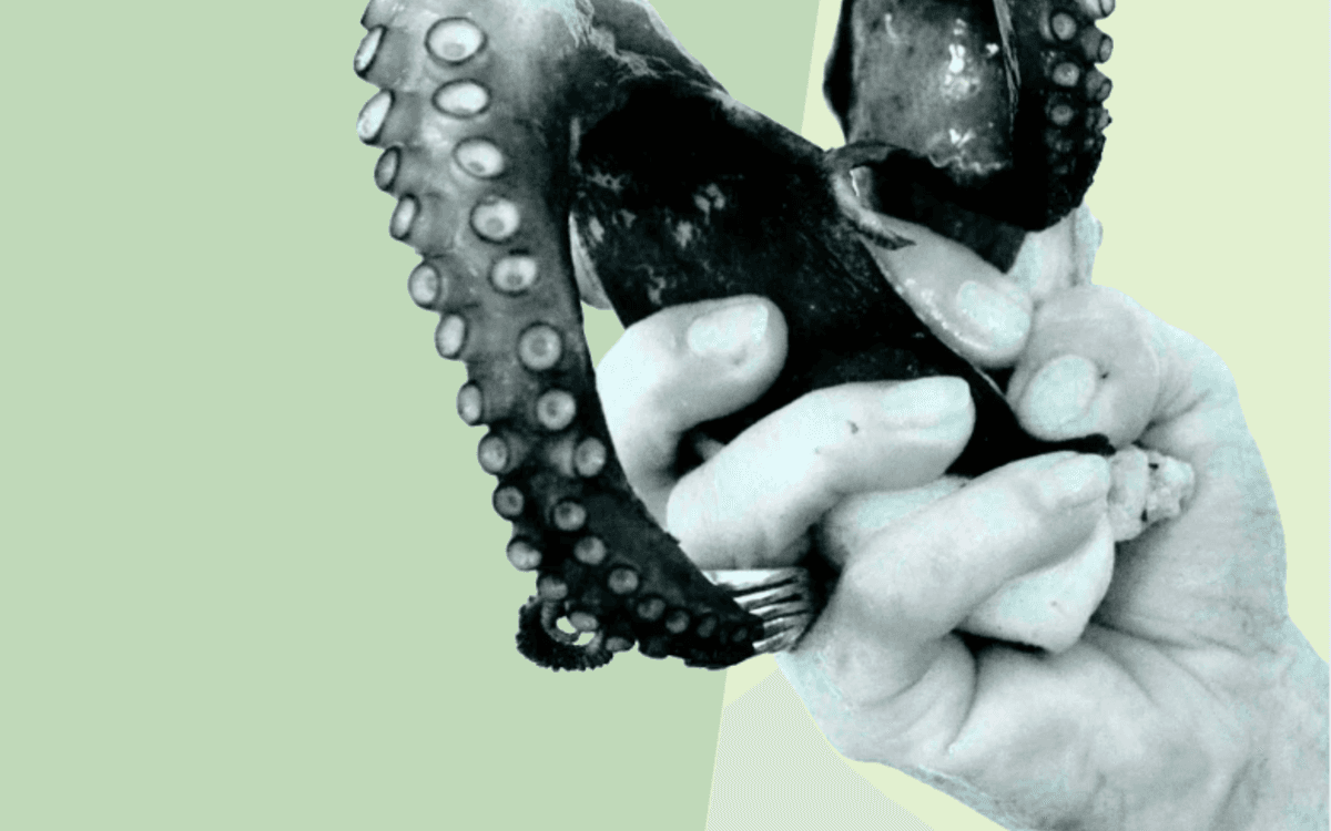 Exposition Bicéphale (8-15 juin) au Wilde