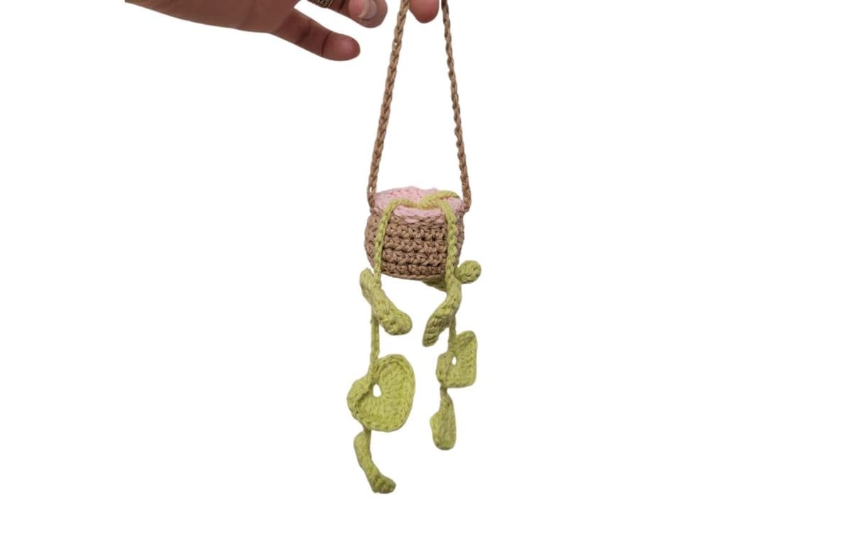 Ma plante en crochet !