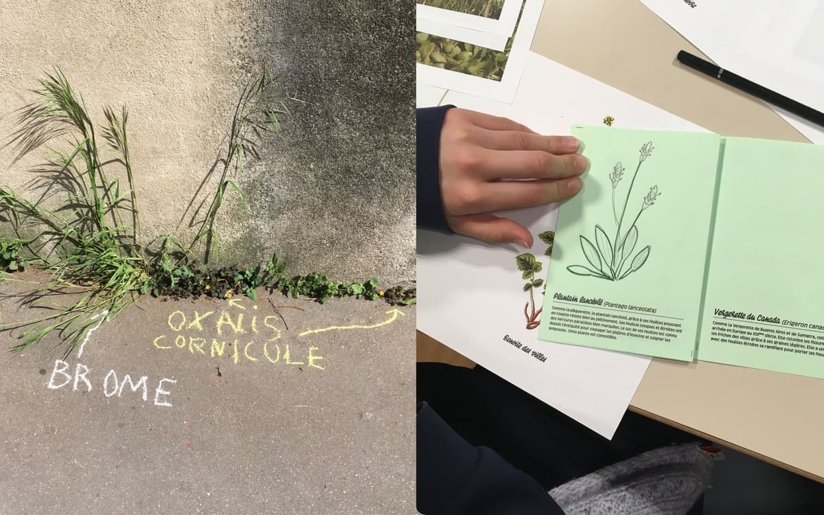 L'Automne de la Science à la Canopée : atelier de graffiti botanique