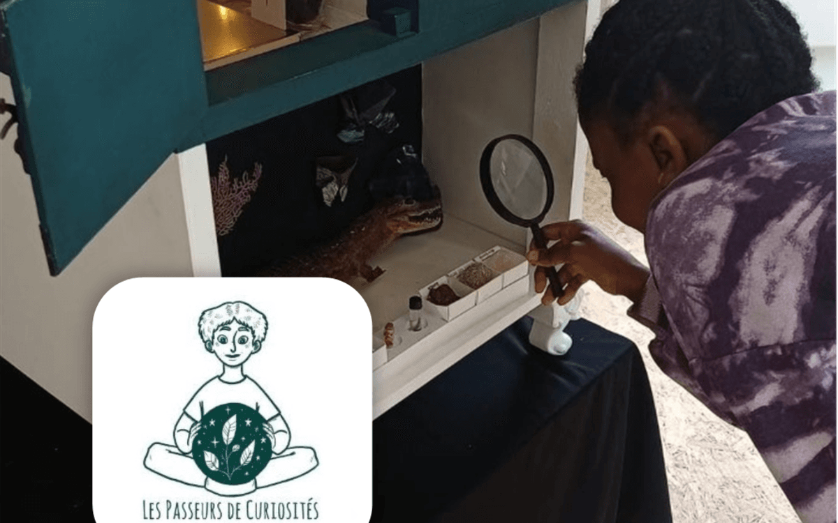 Escape Box avec "Les Passeurs de Curiosités"