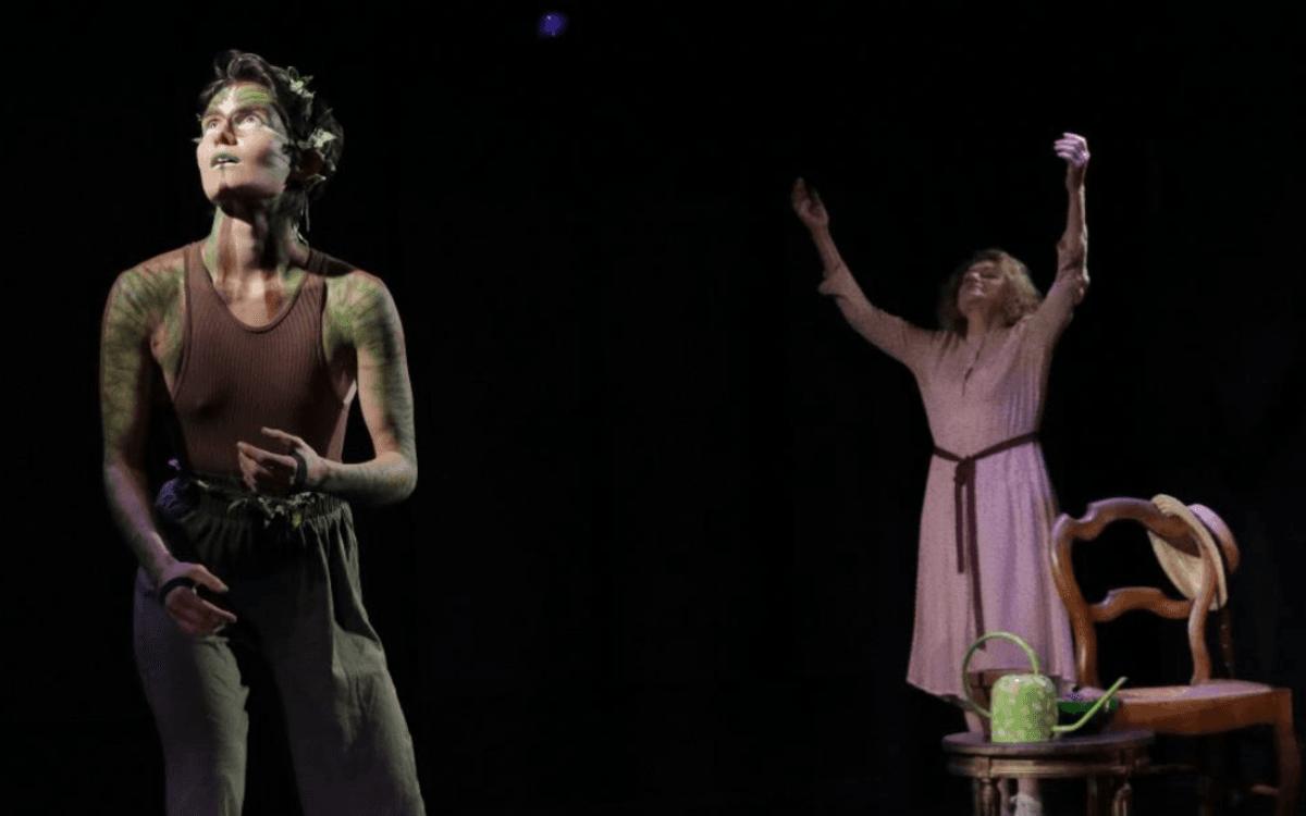 Spectacle familial : Clémentine et Pensée de la forêt