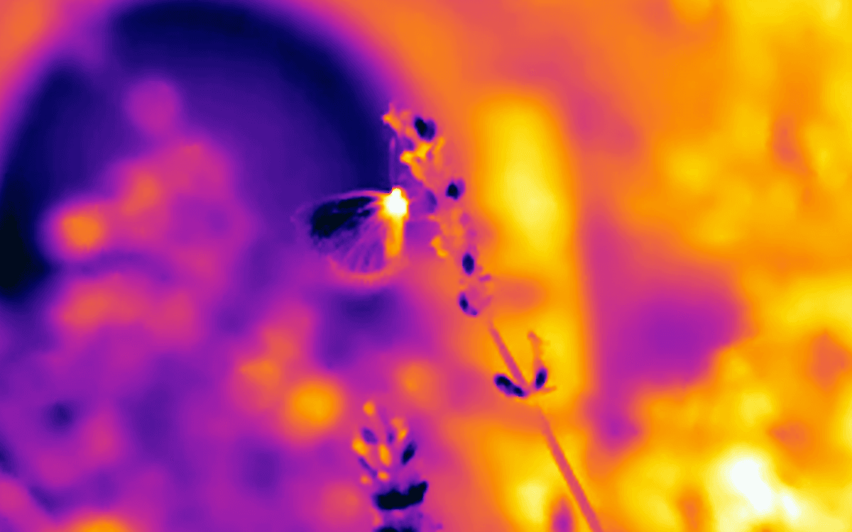 Projections – As long as clouds exist & Love and the sky on the spectrum de Charlotte Mariel