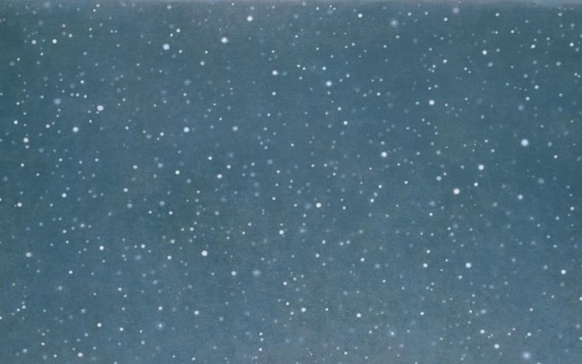 Contrepoint contemporain. Vija Celmins