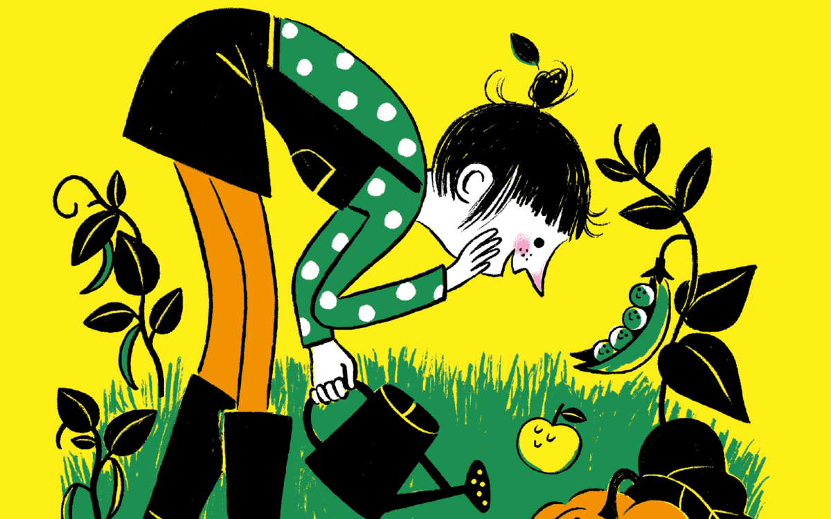 "Et si on racontait DES SALADES" de Fabienne Morel
