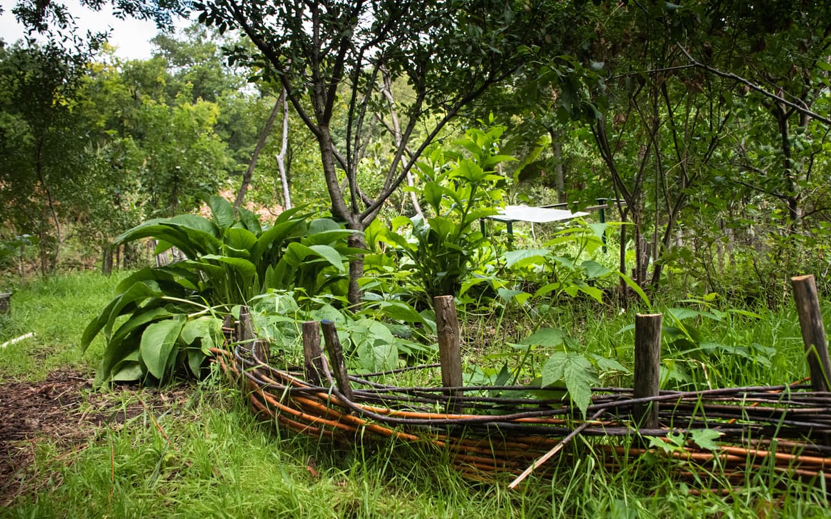 Chantier permaculture