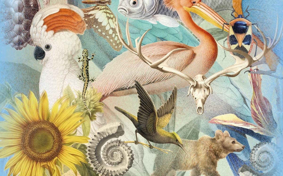 Artistes au Muséum